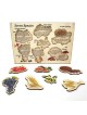 Seven Species: Interactive Educational Puzzle (Hebrew / English)